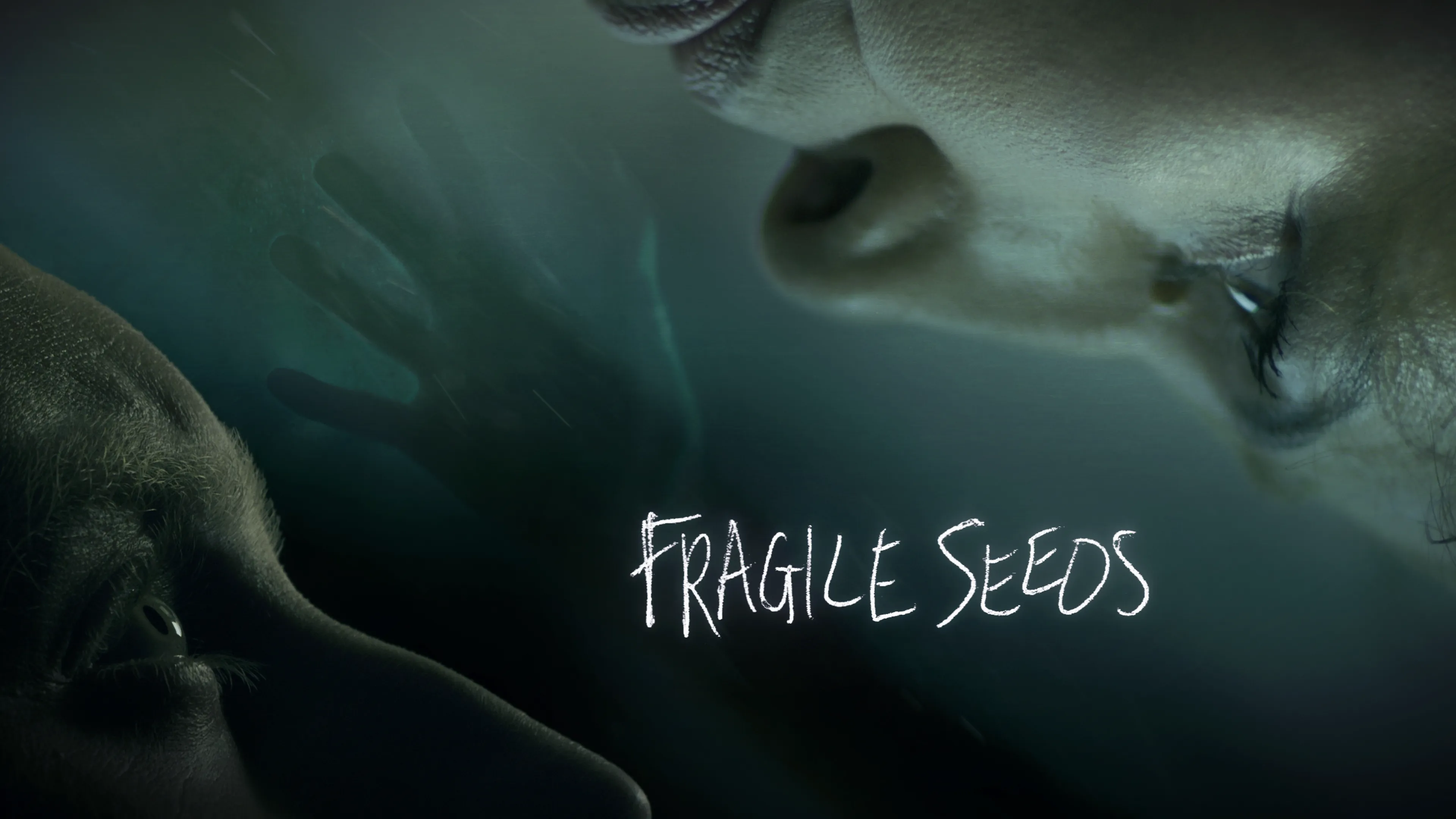 Fragile Seeds poster